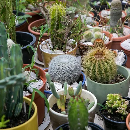 アパート Maria Kolo Ep- With Terrace And Sea View