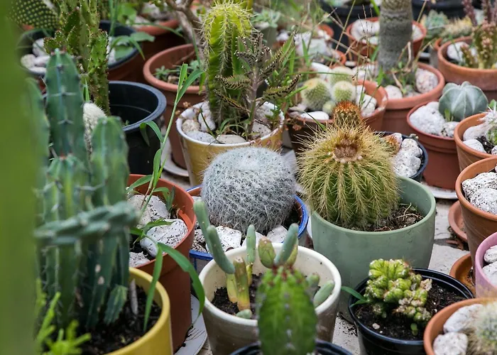 Apartament Maria Kolo Ep- With Terrace And Sea View